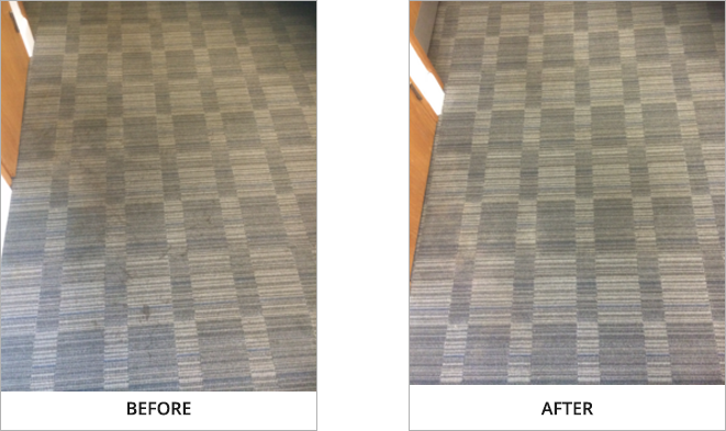 Carpet Cleaning Services in Brighton